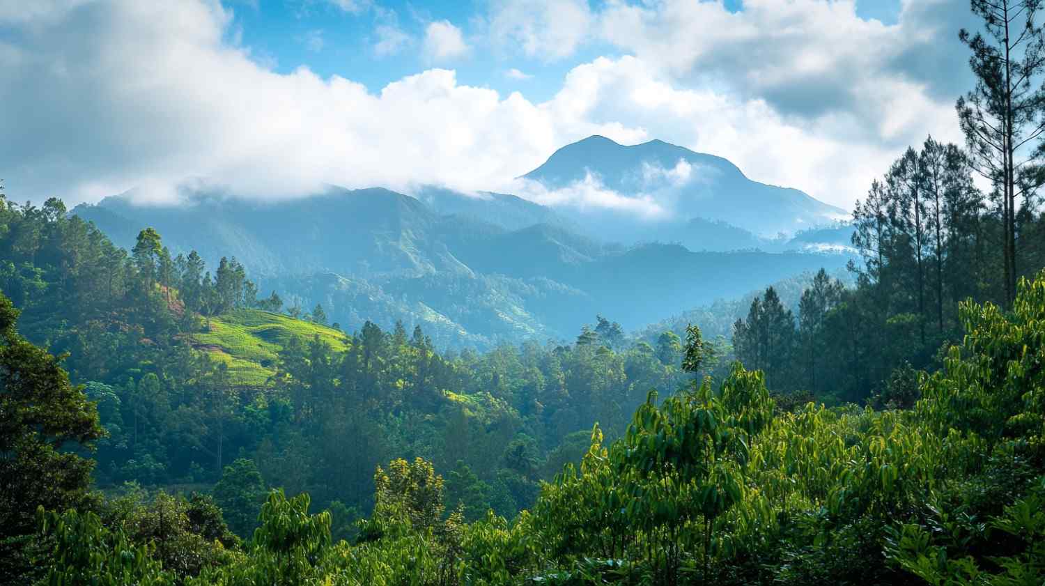 Top 10 places to visit in Sri Lanka